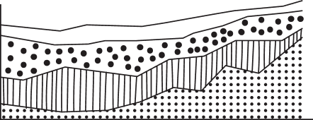 ETL and Data Pipeline Solutions